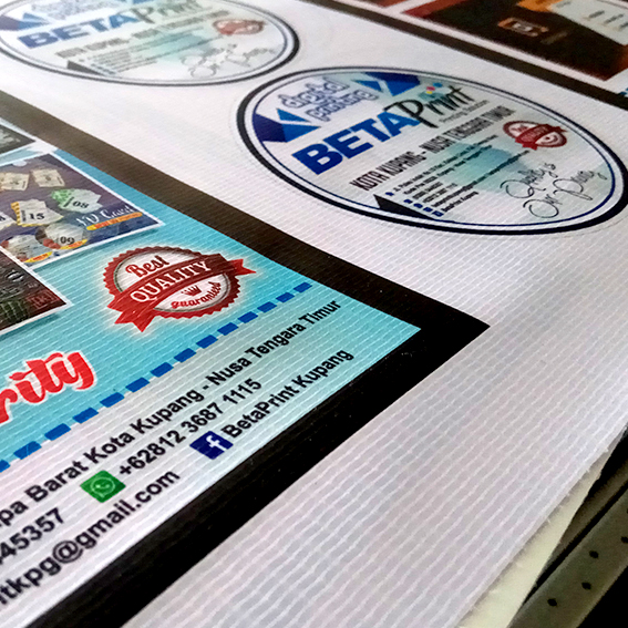 Print UV BackLite Vynil 510GSm 