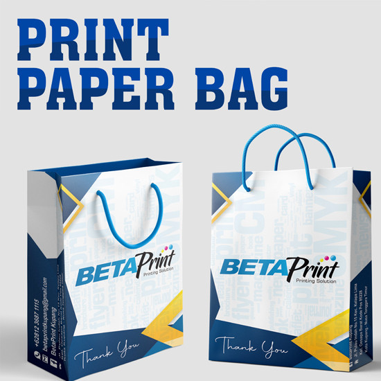 Print Color Paper Bag A3 AP260