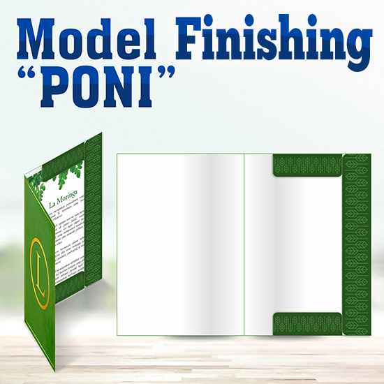 Print Color MAP Folder AP260/AP310 A4